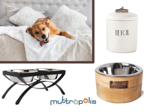 dog accessories to match your home's aesthetic