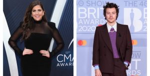 Lady A's Hillary Scott Really Wants To See Harry Styles