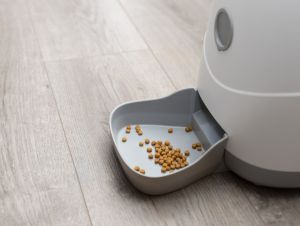 automatic pet feeder with food in bowl