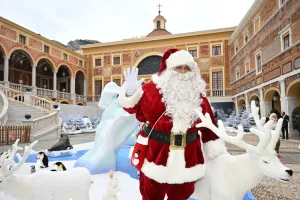 Christmas Tree At Monaco Palace