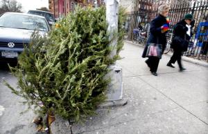 New York Mayor Bloomberg Kicks Off Mulchfest 2003