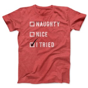 naught nice i tried tee shirt