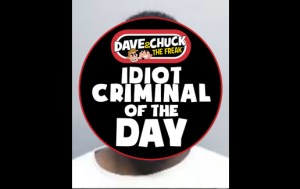 idiot criminal 11/6 logo