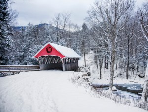 A beautiful snow covered bridge