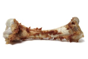 Bone with some meat isolated on while background