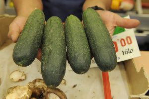 Various cucumbers in a hand being displayed. A new study revealed the ideal penis size women find attractive.