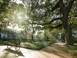 Quiet city park in the Savannah historic district in the morning