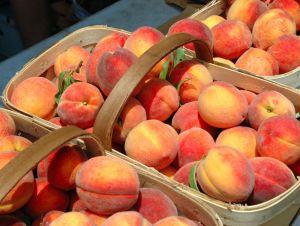 The state of South Carolina peaches.