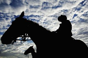 Man riding a horse