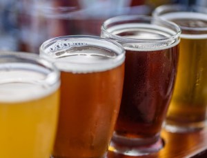 Beautiful colorful beer sample glasses at microbrewery. Breweries concept.