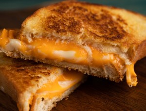 Grilled cheese sandwich close up