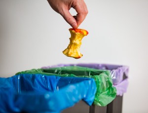 Hand putting apple stub in recycling bio bin. Person in a house kitchen separating waste. Black trash bin with green bag and recycling symbol, food scraps, food waste concept.