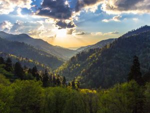 The Great Smokey Mountains. North Carolina has one of the best scenic drives in the country, according to Reader's Digest.