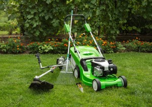 Green lawnmower, weed trimmer, rake and secateurs in the garden. North Carolina is a top state for spring lawn care.