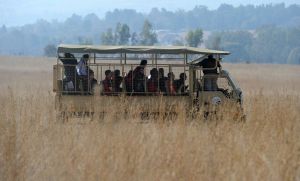 People on a safari in Africa