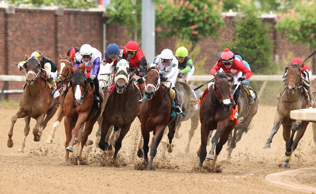 5 Of The Funniest Horse Names At The 2024 Kentucky Derby Dave and