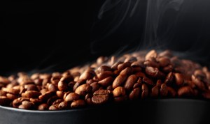Steaming coffee beans on a black background. The Human Bean coffee shop.