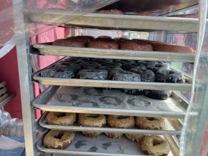 Trays of donuts to eat at Boston Calling festival.