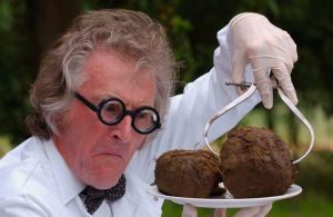 A doctor looking at poop samples from an elephant. The biggest poop museum in the world just opened in Arizona!