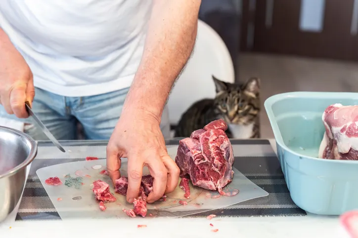 Man cutting piece of meat on cutting board with knife, cat looking at it